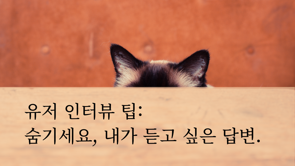 유저 인터뷰 팁: 숨기세요, 내가 듣고 싶은 답변.